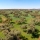 Actualización y ajuste de la cartografía de dehesas en Extremadura